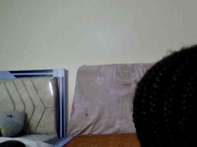 staria-luxe webcam
