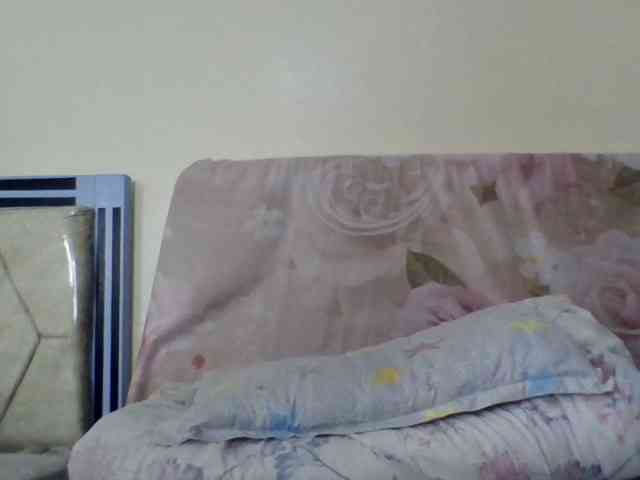 staria-luxe webcam