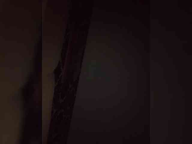 Ksenia-5 webcam