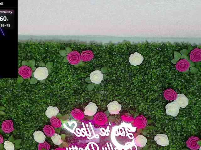 Siennaluxx Siennaluxx