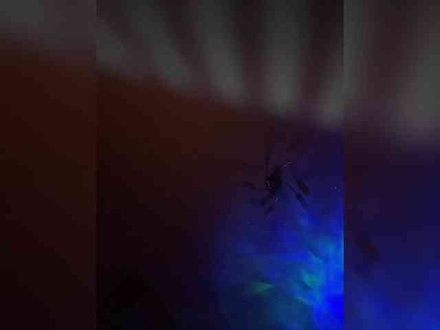 AlicaXDream webcam