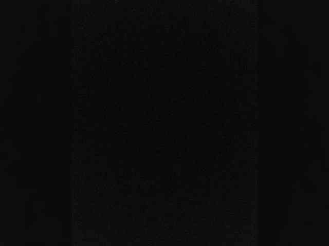 VityaN-1