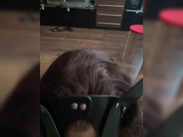 cam sex chat RealSlimShady1