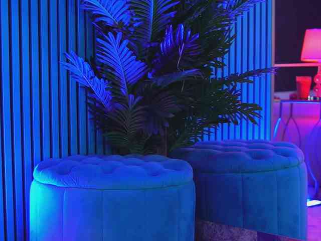 KendraMoon KendraMoon