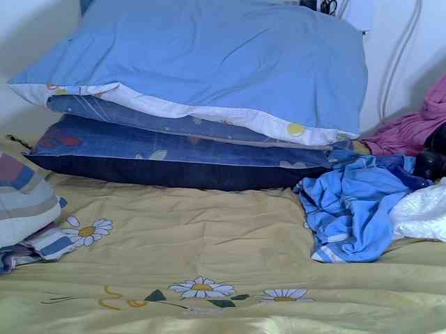 Fineasslyn webcam