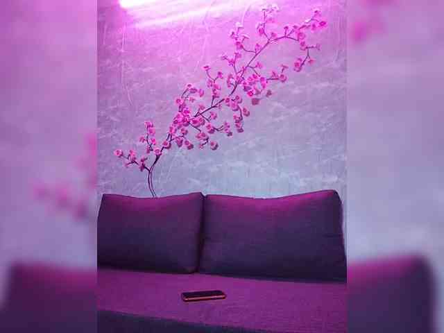 SexyKitty75-1 webcam