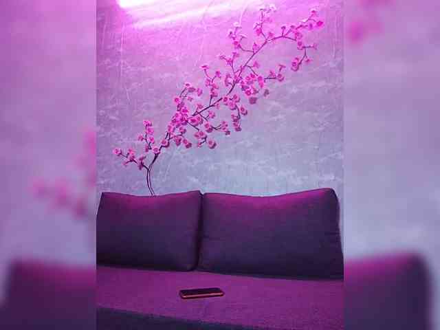 SexyKitty75-1 webcam