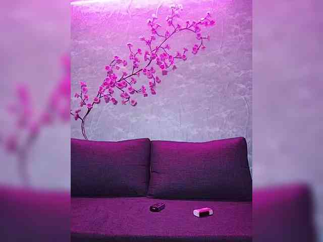 SexyKitty75-1 webcam