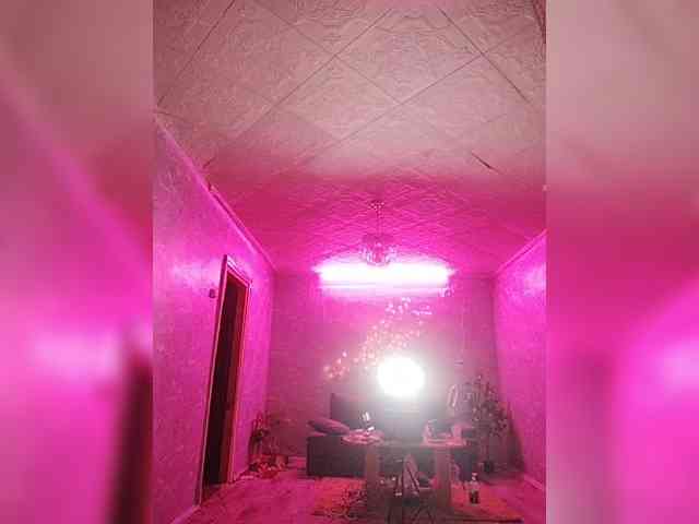 SexyKitty75-1 webcam