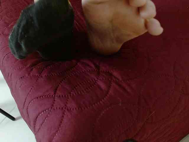 jules-Lombana Live Webcam on BongaCams