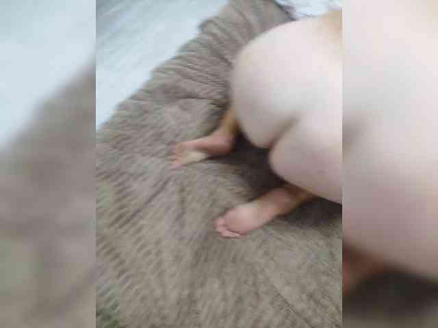 Bella360 webcam
