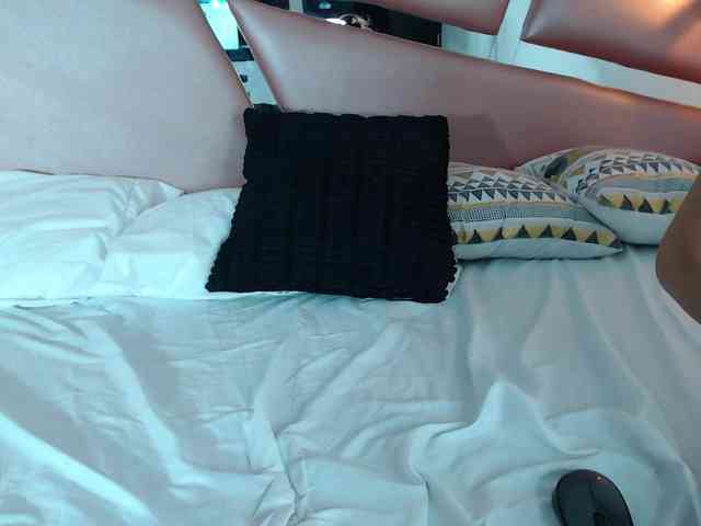 ABBY-ALAN-VC webcam