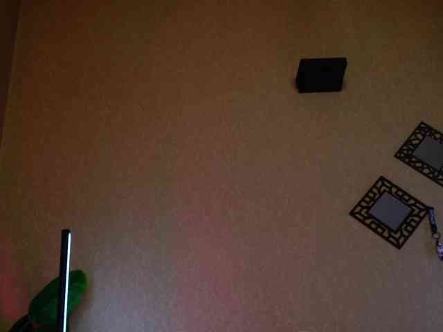 AnitaVon webcam