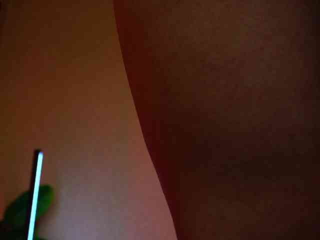 AnitaVon webcam
