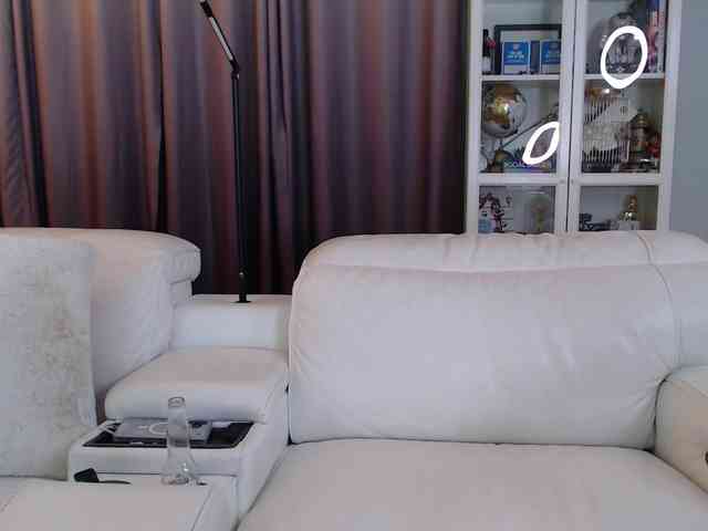 sophiasanchez webcam