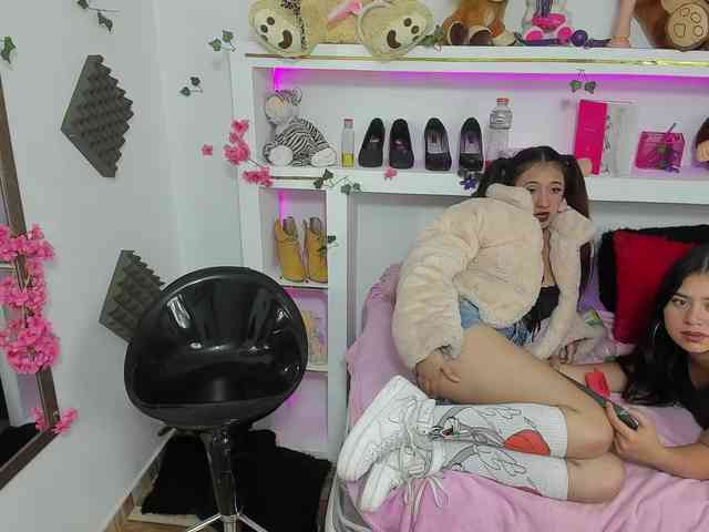 topseecret webcam
