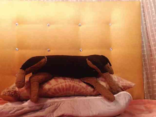 AbenyAnaya webcam