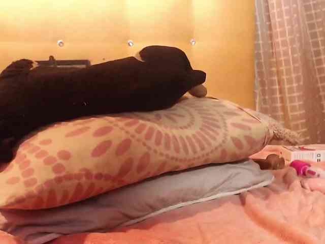 AbenyAnaya webcam