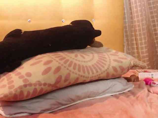 AbenyAnaya webcam