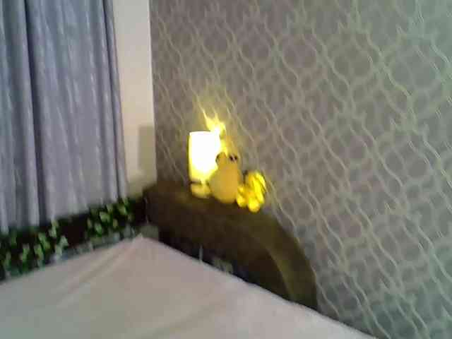 LittleLisse webcam