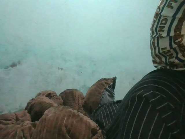 Boobsgirl Live Cam on BongaCams