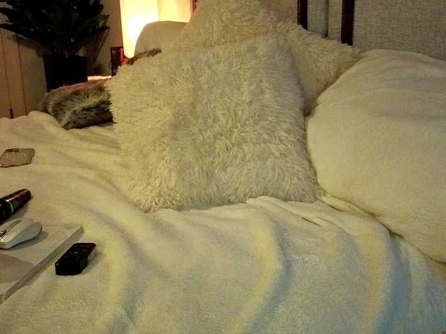 Preview of kellyjorae