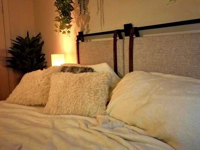 KellyJoRae's BongaCams show and profile