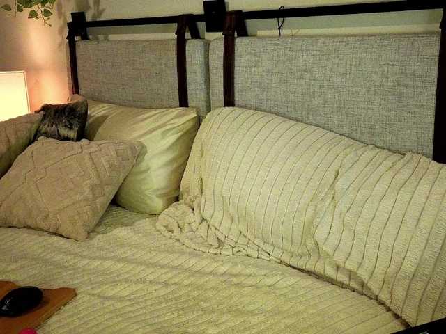 KellyJoRae's BongaCams show and profile