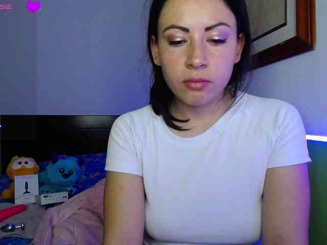Vannesag webcam