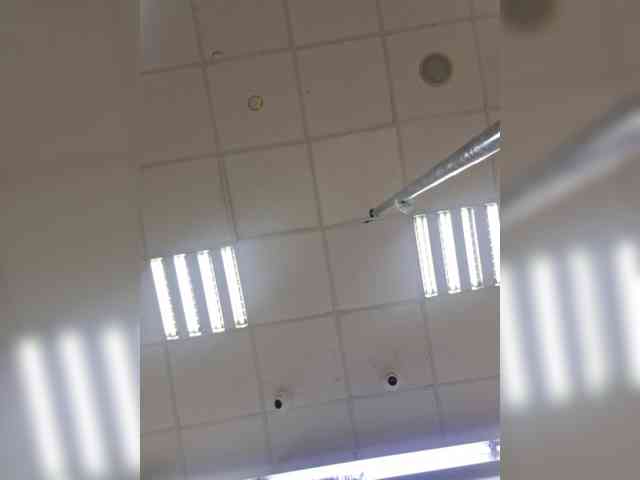 vndertherxysvnBBW webcam