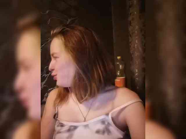 Timviki webcam