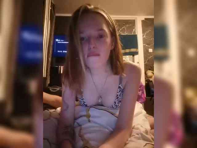 Timviki webcam