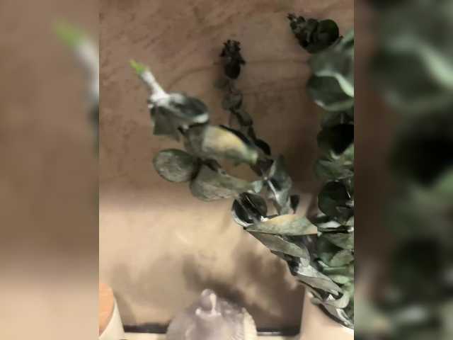 -Your-Michelle-'s BongaCams show and profile