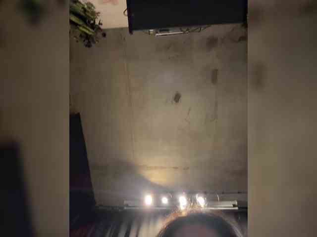 -Your-Michelle- webcam