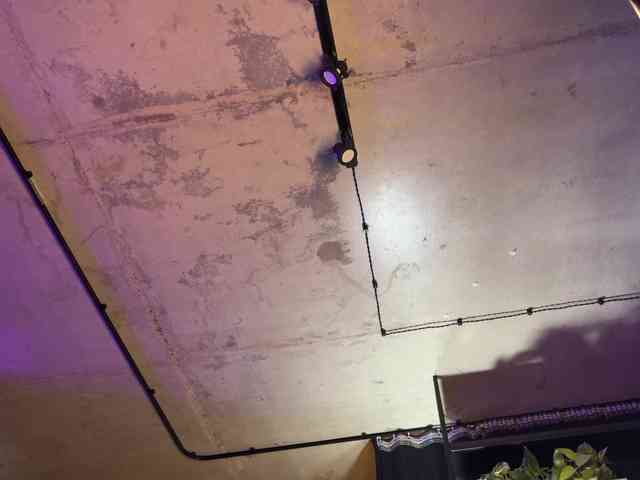 -Your-Michelle- webcam