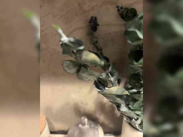 -Your-Michelle- webcam