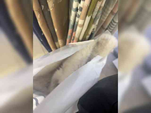 -Your-Michelle- -Your-Michelle-