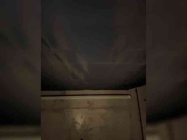 -Your-Michelle- -Your-Michelle-