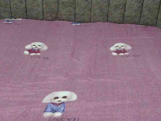 Naughty-pussy1 webcam