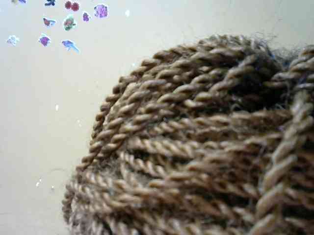 Molient123 webcam