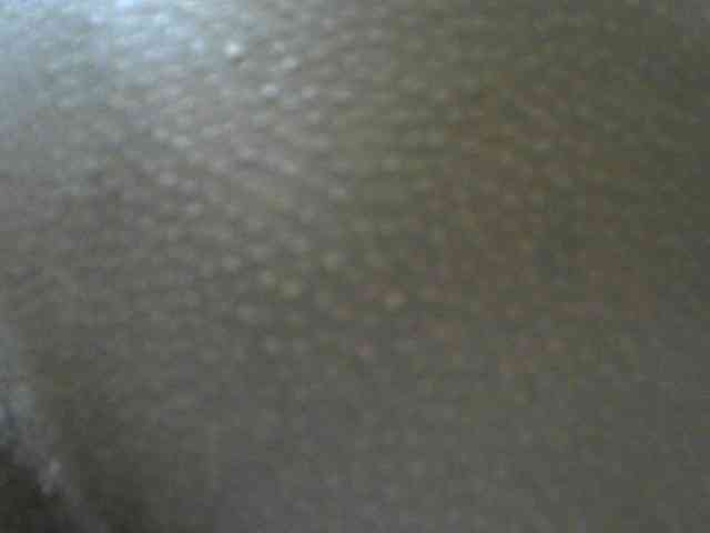 Molient123 webcam