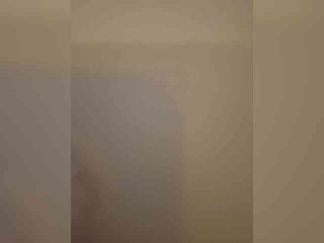 chatroom online Shellbelle