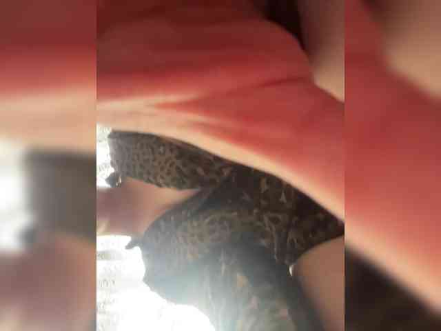 Kohka011 webcam