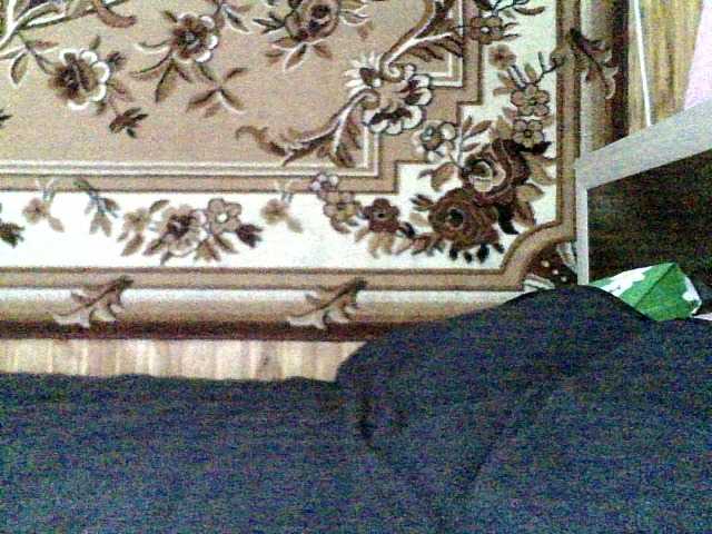 Viktoriia21's BongaCams show and profile