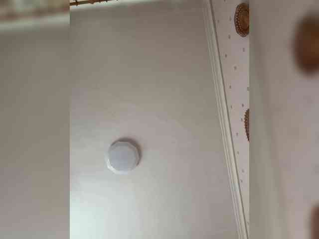 RoseMoonn webcam