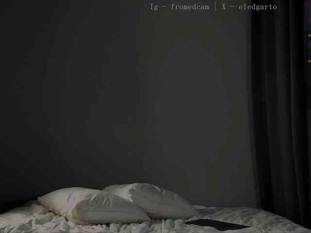 Fromedcam