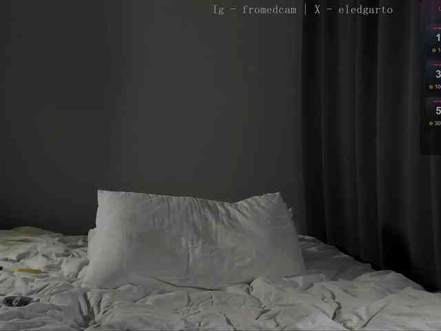 Fromedcam