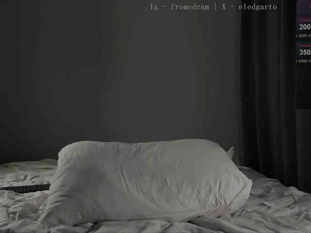 Fromedcam