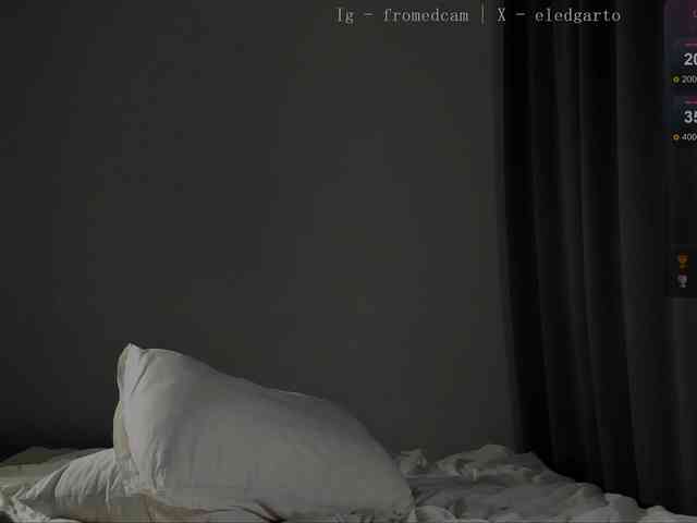 Fromedcam