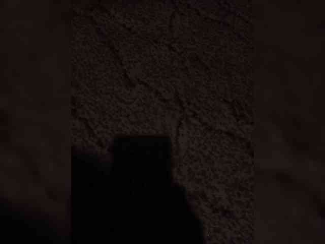 Fuffocka webcam